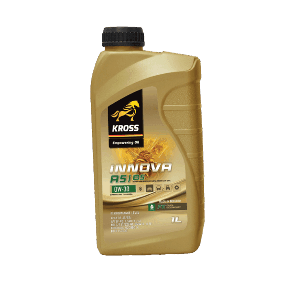 INNOVA 0W30 A5/B5